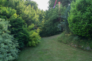 DSC3177