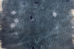 DSC1446