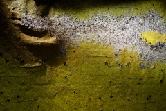 web_Fotos-29