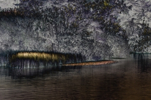 DSC4518-4