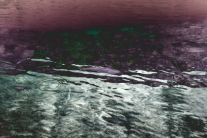 DSC4607